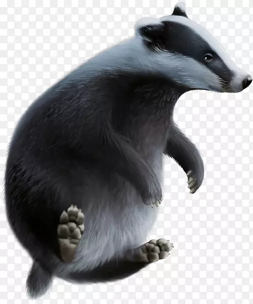 �������ë���룬����-������