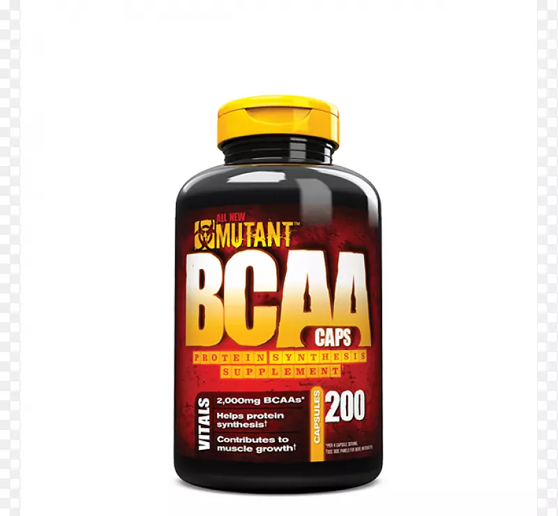 ��ʳ�����-֧��������ͻ����������-������