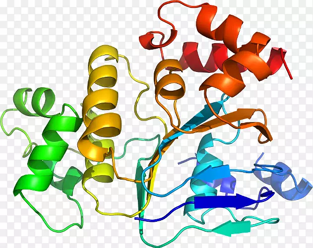 �����߶����������-������