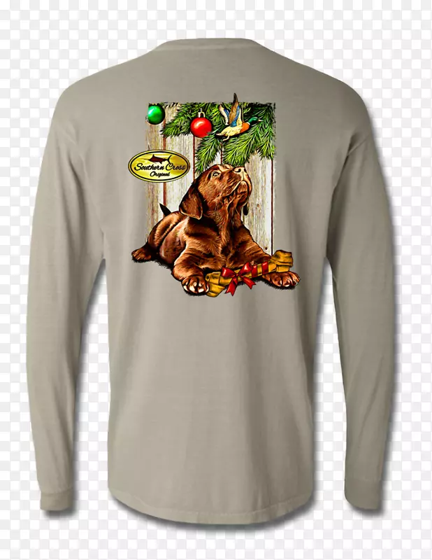 ����t����ɫ����t��-������