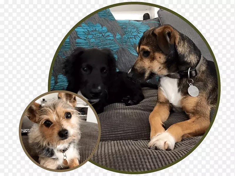 Ȯ��С����Ȯ����-С��-������