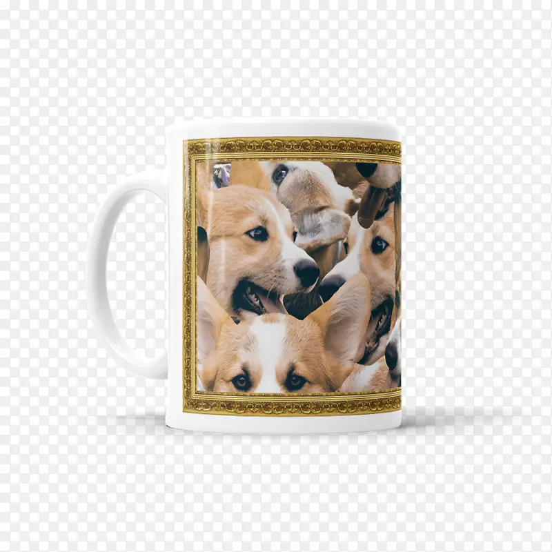 ���ﹷ��Ȯ����ëƤ���ȵ괫��-������