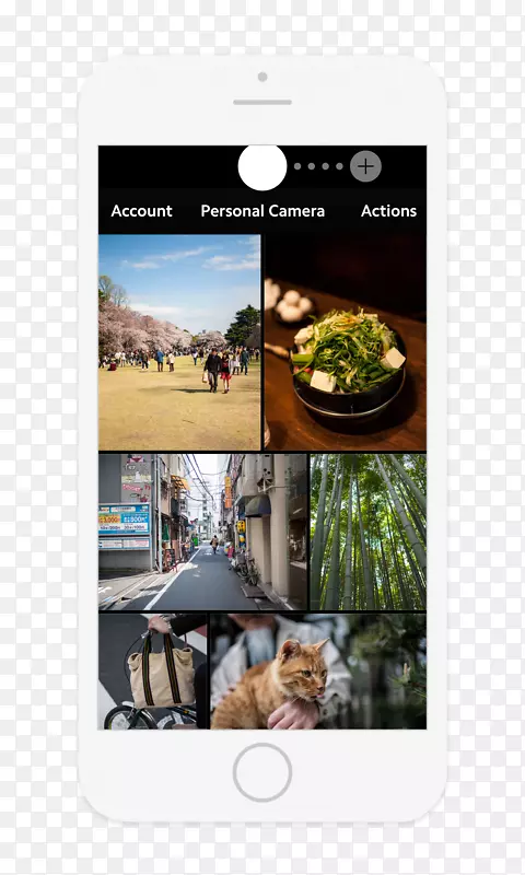 Ʒ����Ӱ.���-������