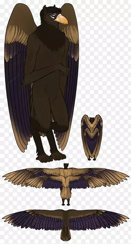 ӥ��ӥ-������