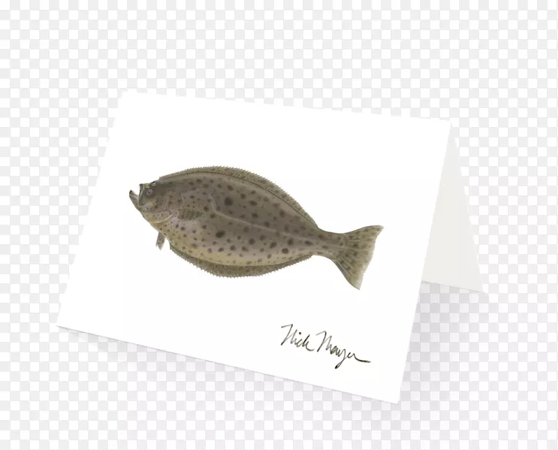 ���������Ǳ�Ŀ������������������ͷ����ˮɫ��-������