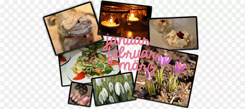 ʳƷ12�²��ͺ決-����С��-������