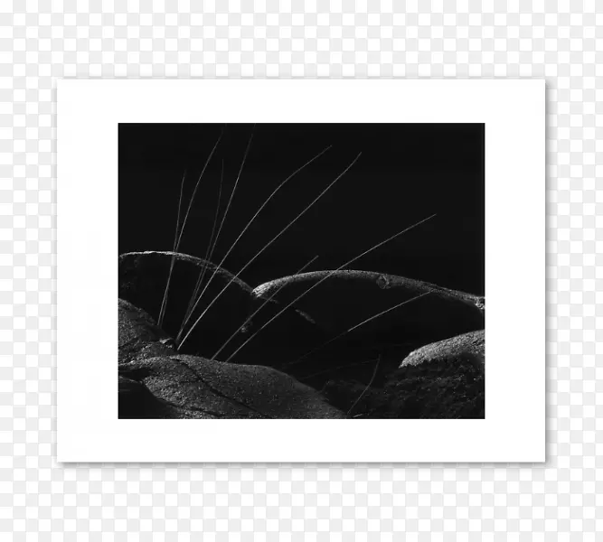 ����ɫ��ɫm-��ɽ��-������