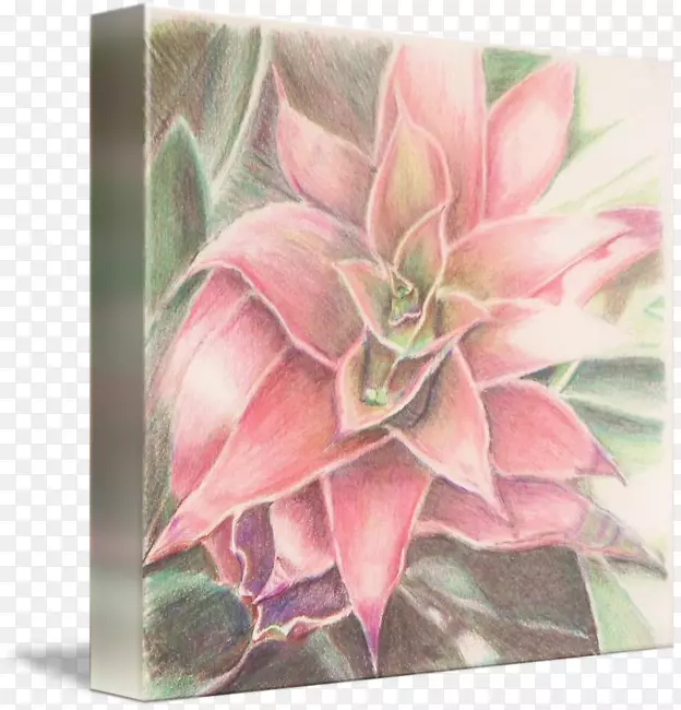 ������Ӱˮ�ʻ�����ֲ�������ƿ�ˮ��-������