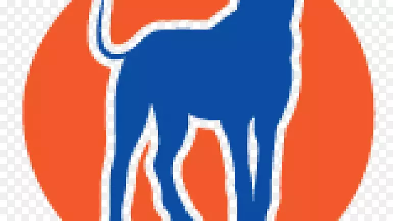 ����־��-������-������