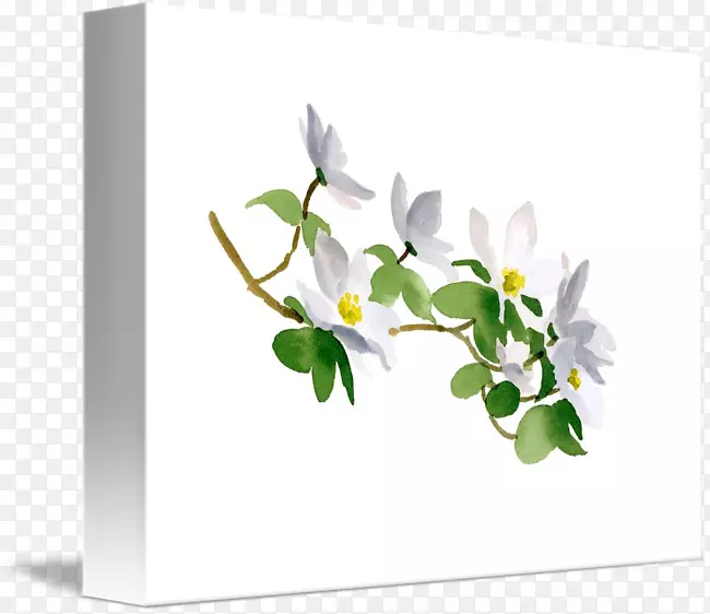 �������ˮ�ʻ��������ﻭ-������