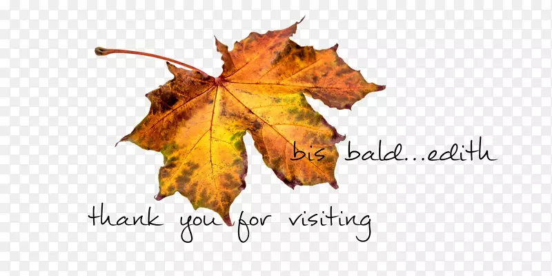 ��������Ա��Ӱ-����-������