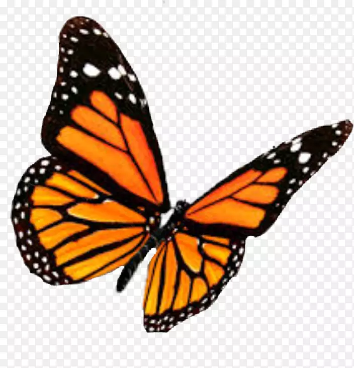 �������������棬ë�ʣ�������������.����-������