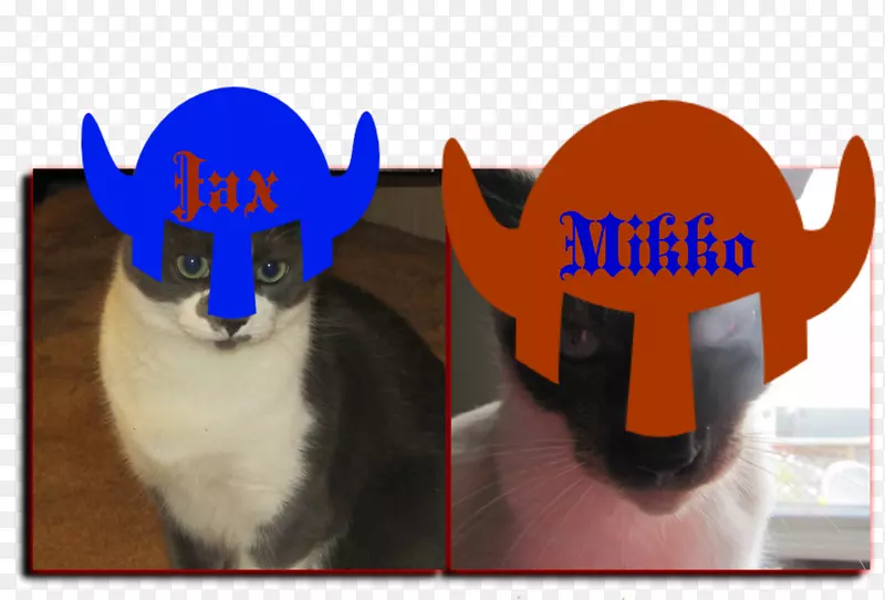 ��������-����-������