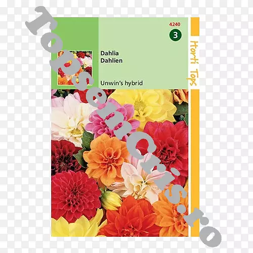 �����ǻ�����Ʋ�ʤ�����л�-������