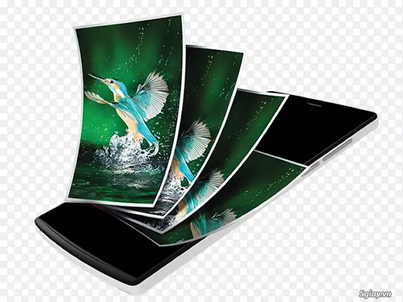 ��ý��洢-������