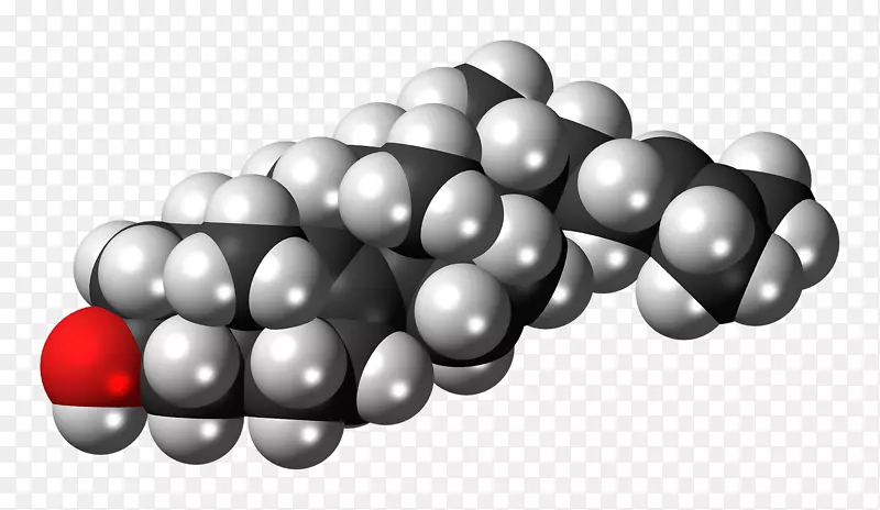 ��ͨ�ѹ�Ӣ-������