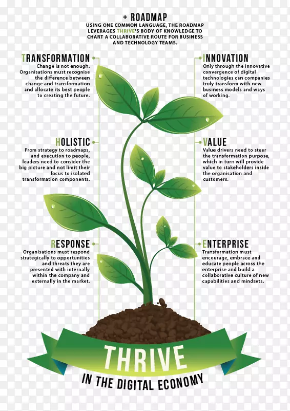 ����ת����ҵ���־�����֯����������ҵ-������