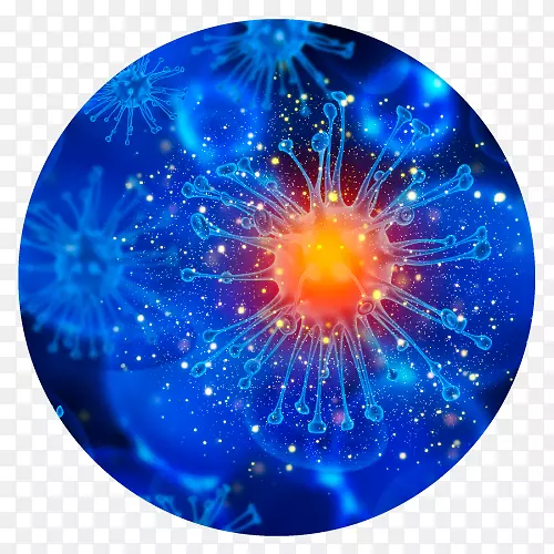 �ΰ���ֱ�����������簩֢�ղ���-������