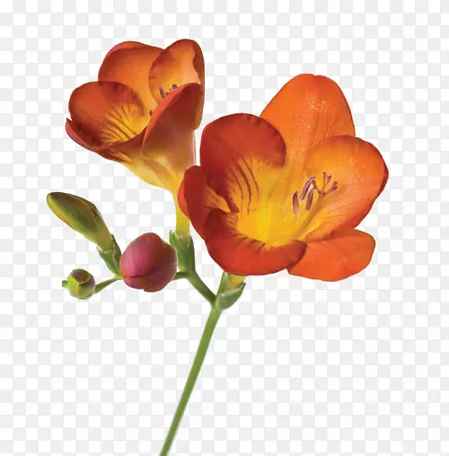 �л�����ֲ��ѧ����-������