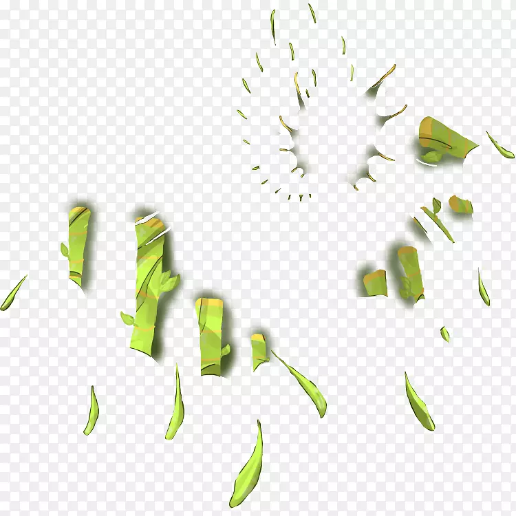 ����Ҷֲ�ﾥ����ֲ������Ҷ-������