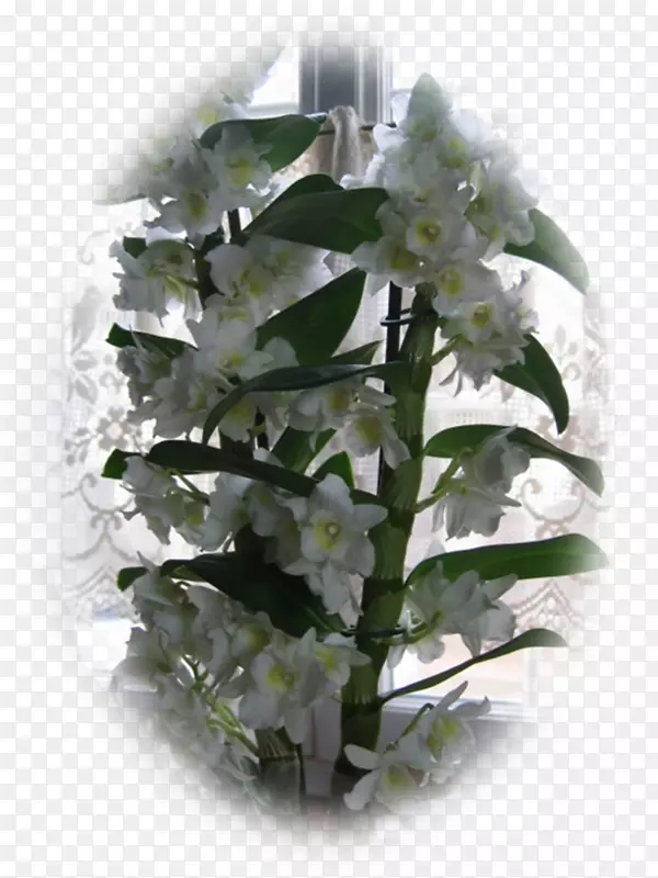 ��������л���������-��-������