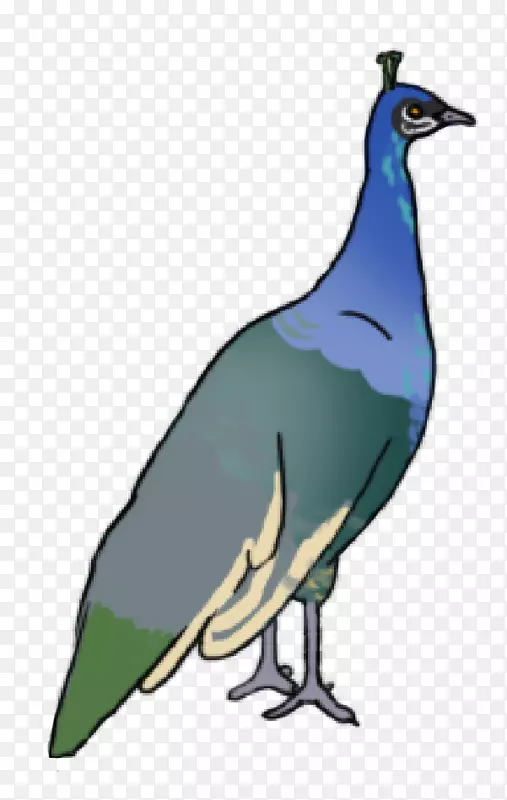 ����ë������-������