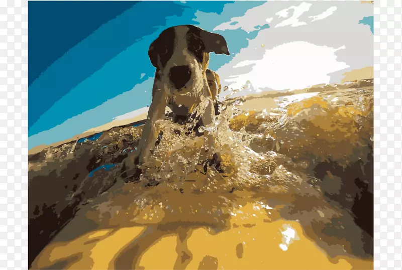 �����İ�Ȯ����è��ҽ��������è-������