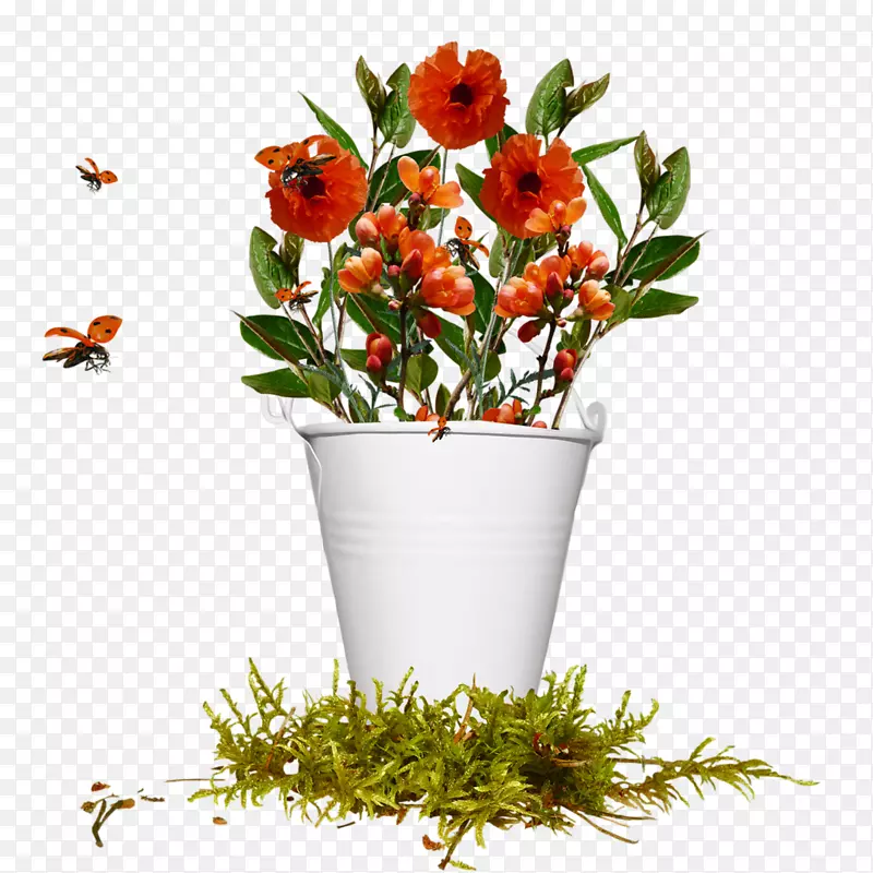 �������-������