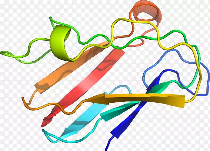 �ߵ������-��-������