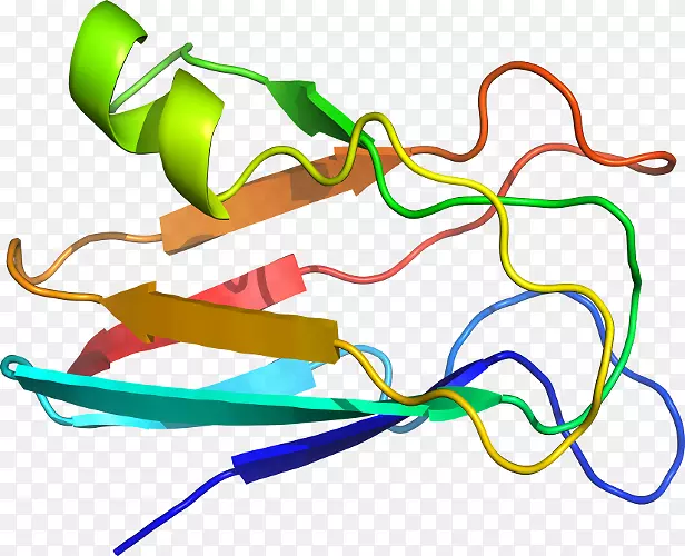 �ߵ������������-������