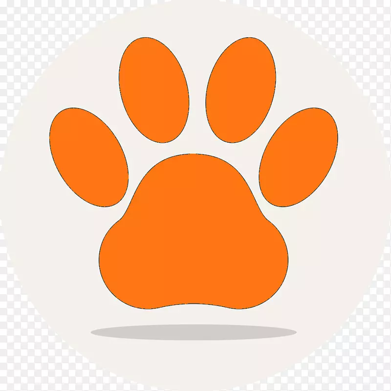 ��ţȮצѲ�����ձ���-����-������