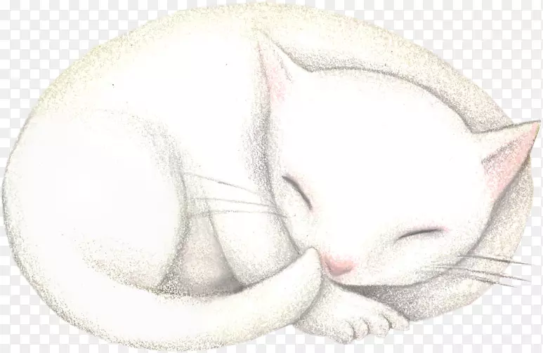 ����Сè������Сè-������