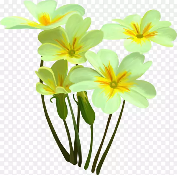 �л�ˮ�ʻ�-��-������