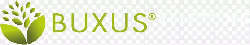 ����̱������ֽ����-Ҷ-������