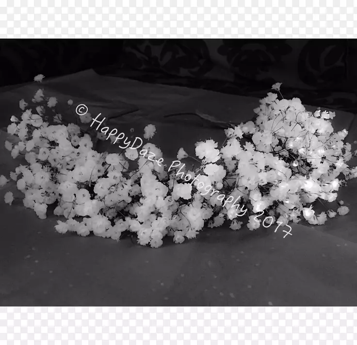 ͷ�ΰ�ɫ�鱦����-������