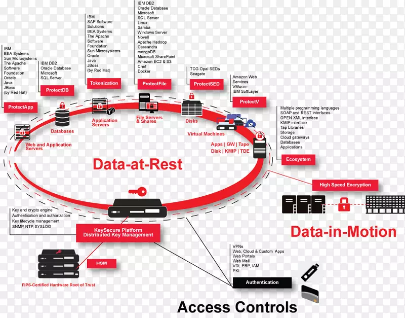 Ʒ���������-������