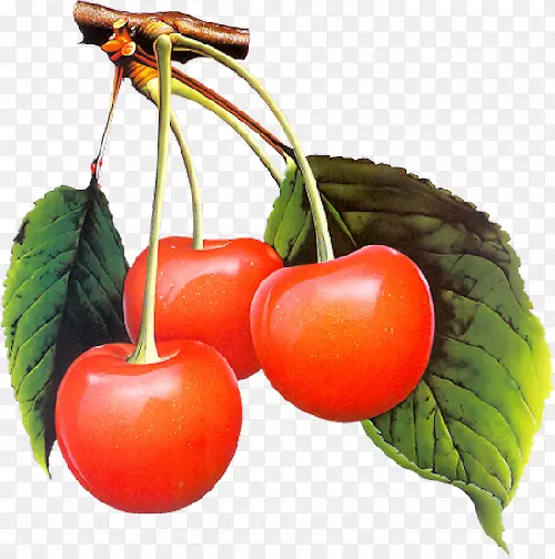 �����񲩿�-����-������