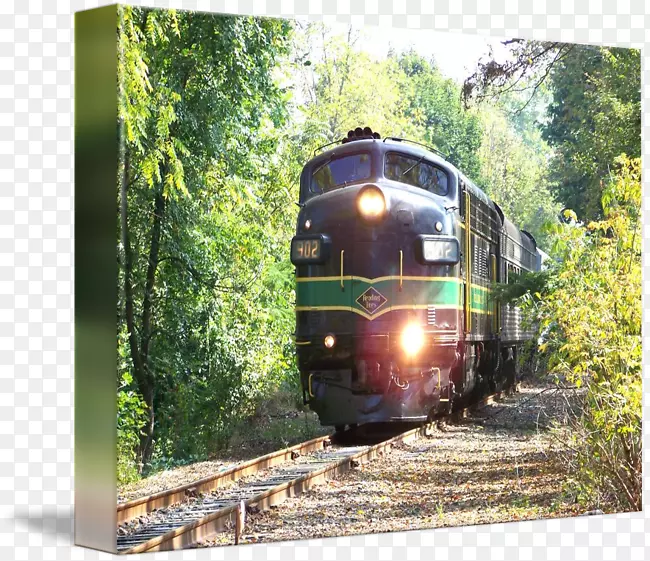 ��·�����г�������������г�-������