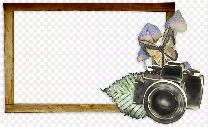 ���������λ�����Ʒ-ˮ�ʻ�ɽ��-������