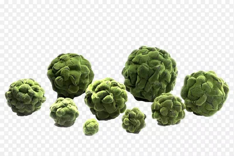 ʮ�ֻ����߲˽�ĩ����ʳƷ-������