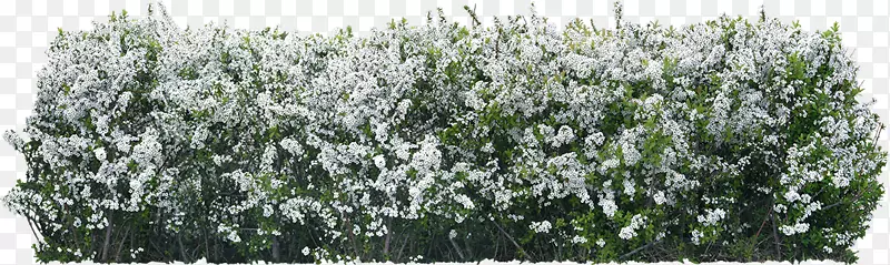 ���ط�װ��PostScript-������