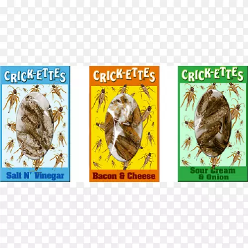 �������ʳ�������-����-������