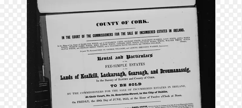 Ʒ������-������