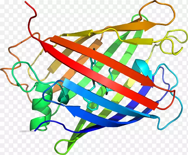 �ߵ������������-������