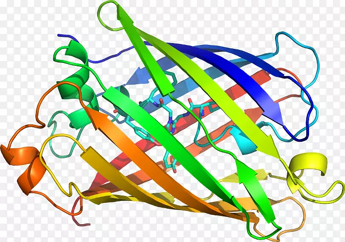 �ߵ������������-������