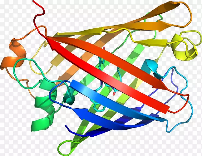 �ߵ������-��-������