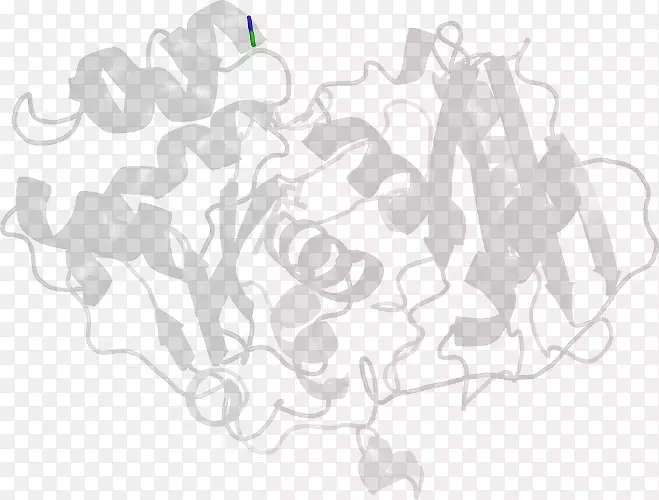 ��ɫͼ�����-������