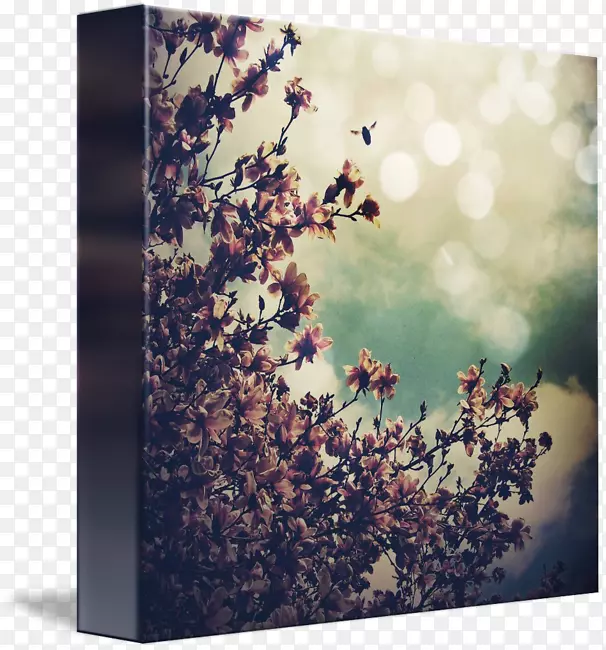 ������Ӱ-����е�����-������