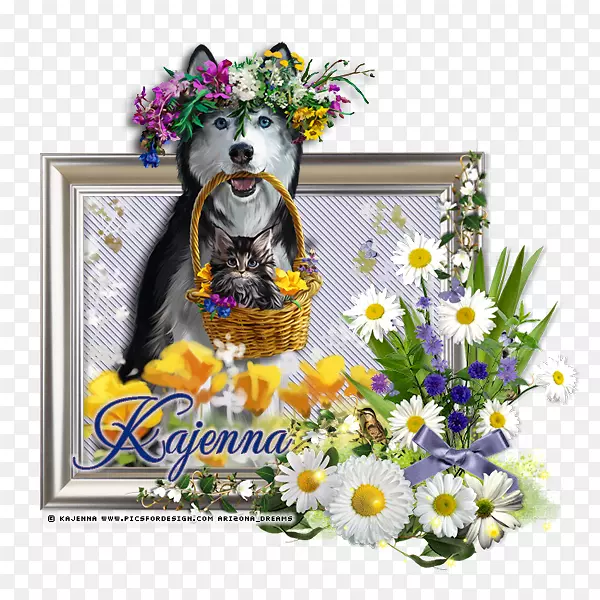 ��������л�����С����-������