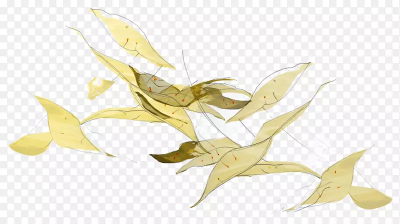 Ҷ��Ҷ-������